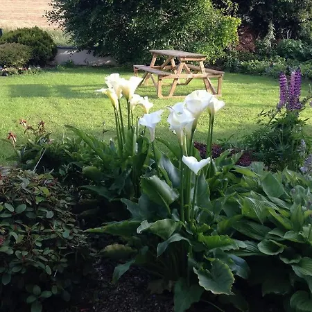 Hillview House Отель типа 