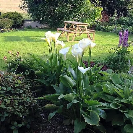 Hillview House Отель типа 