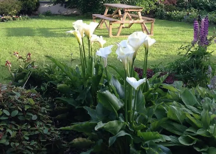 Hillview House Bed & Breakfast